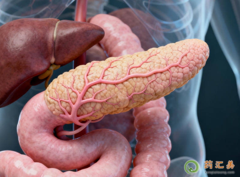 胰腺炎治療后淀粉酶不穩(wěn)定是什么原因