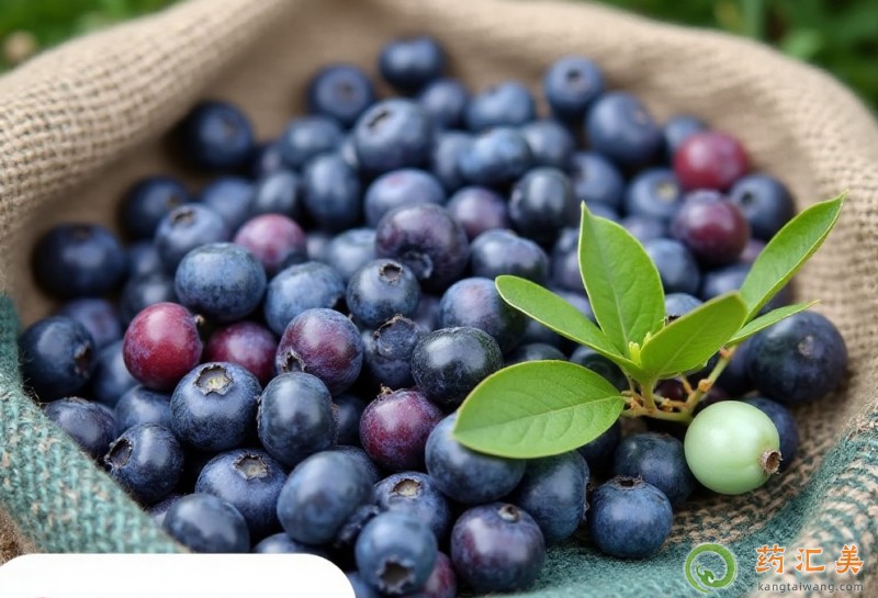 胰腺炎吃藍(lán)莓好 胰腺炎吃藍(lán)莓好