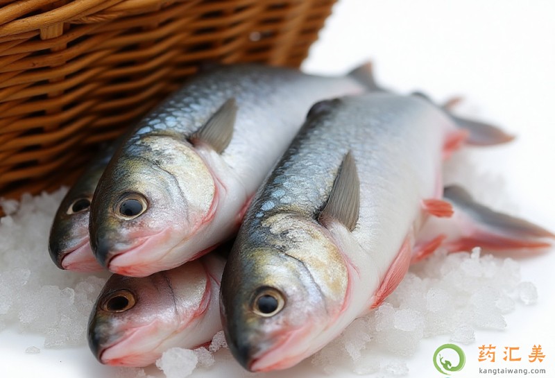 胰腺炎恢復(fù)期可以吃鯔魚嗎 胰腺炎恢復(fù)期可以吃鯔魚嗎