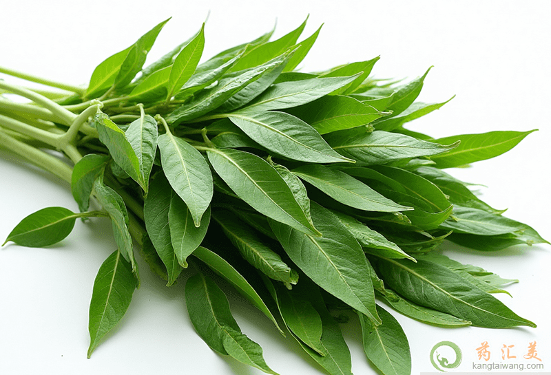 失眠可以吃空心菜 失眠可以吃空心菜