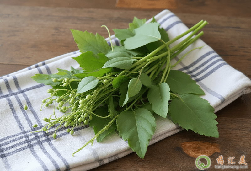 失眠可以吃豌豆尖 失眠可以吃豌豆尖