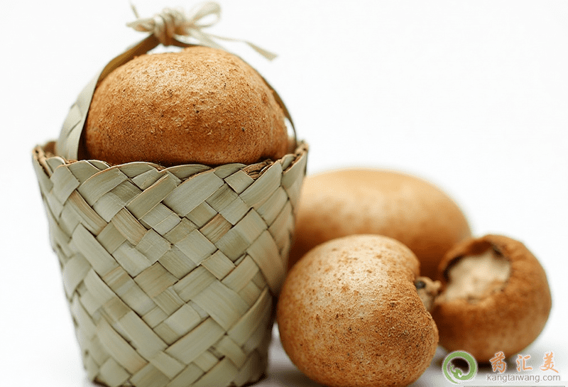 失眠可以吃猴頭菇 失眠可以吃猴頭菇