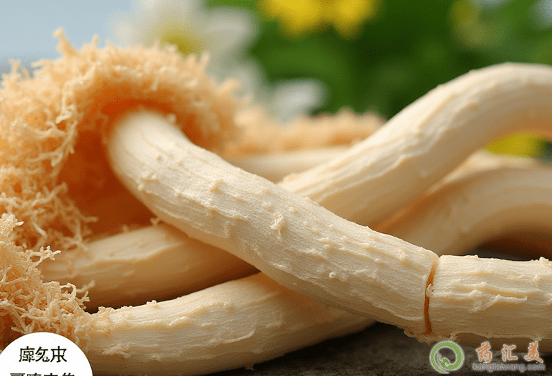 失眠可以吃竹蓀 失眠可以吃竹蓀