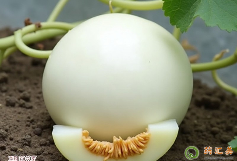 失眠可以吃白金瓜嗎 失眠可以吃白金瓜嗎