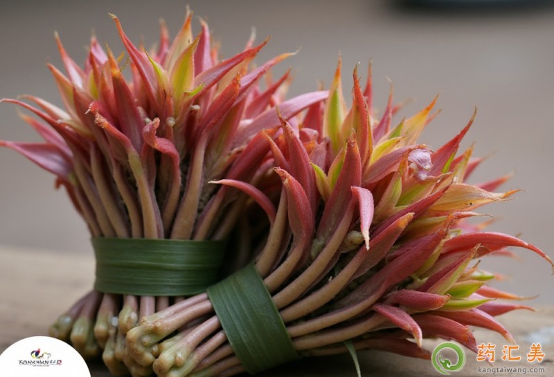 胰腺炎恢復期吃香椿好 胰腺炎恢復期吃香椿好