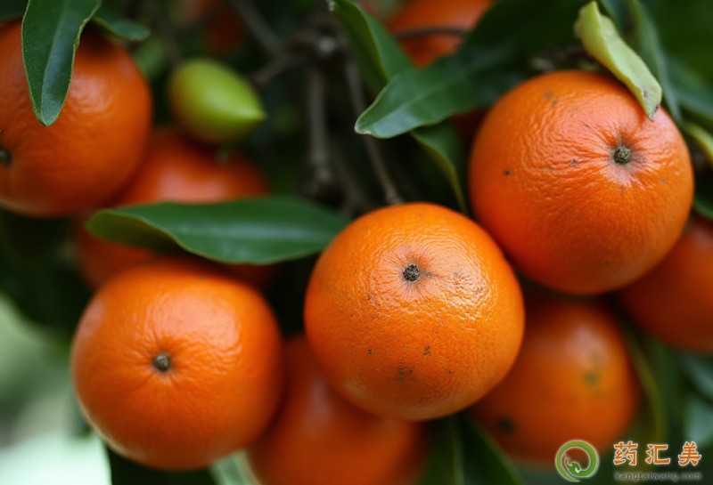 失眠可以吃砂糖橘嗎 失眠可以吃砂糖橘嗎