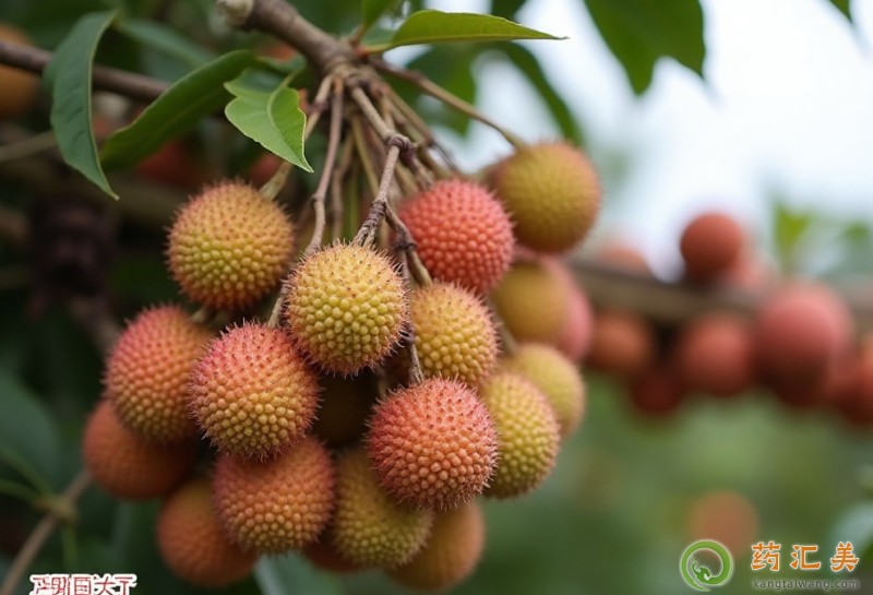 補腎吃什么蔬菜與水果好 補腎吃什么蔬菜與水果好