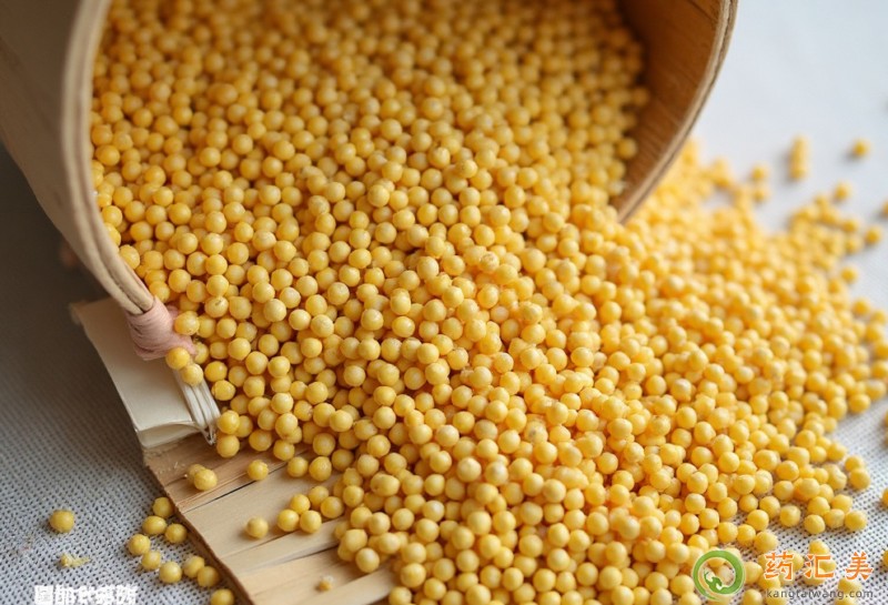 小米的營養價值 小米的營養價值