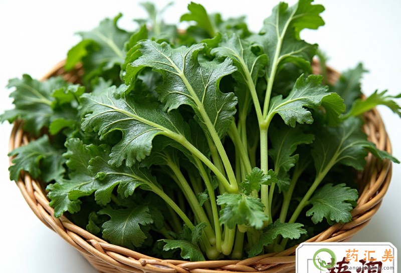 薺菜的功效與作用 薺菜的功效與作用