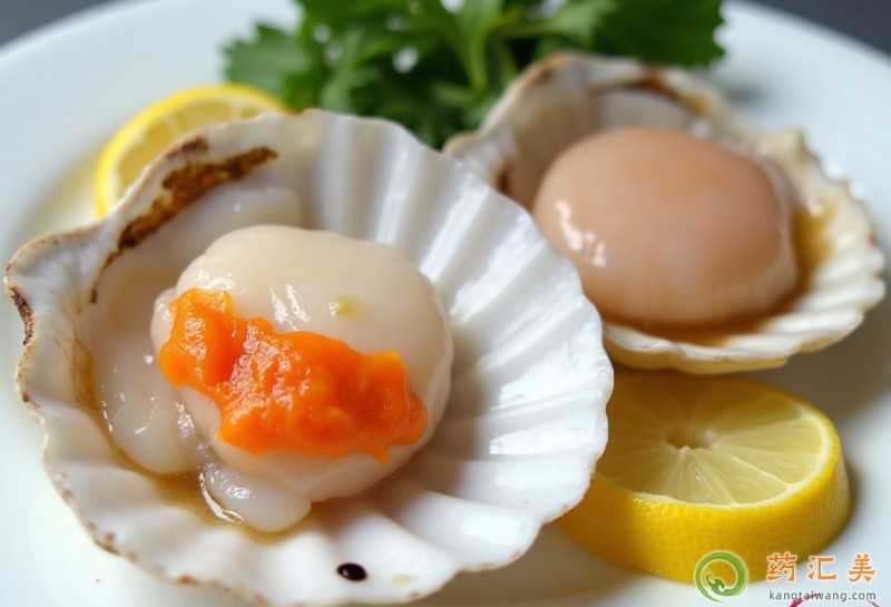 扇貝的功效與作用 扇貝的功效與作用