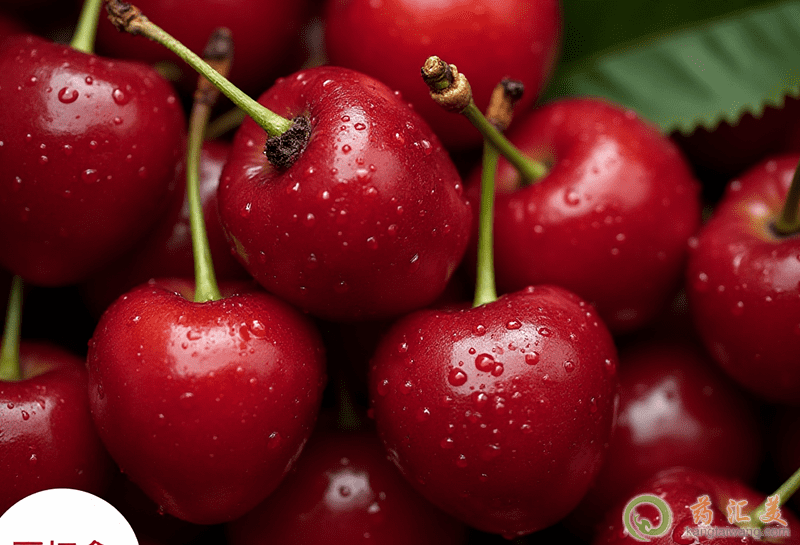 櫻桃的營養價值 櫻桃的營養價值