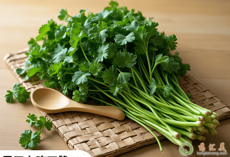 香菜的營養價值 香菜的營養價值