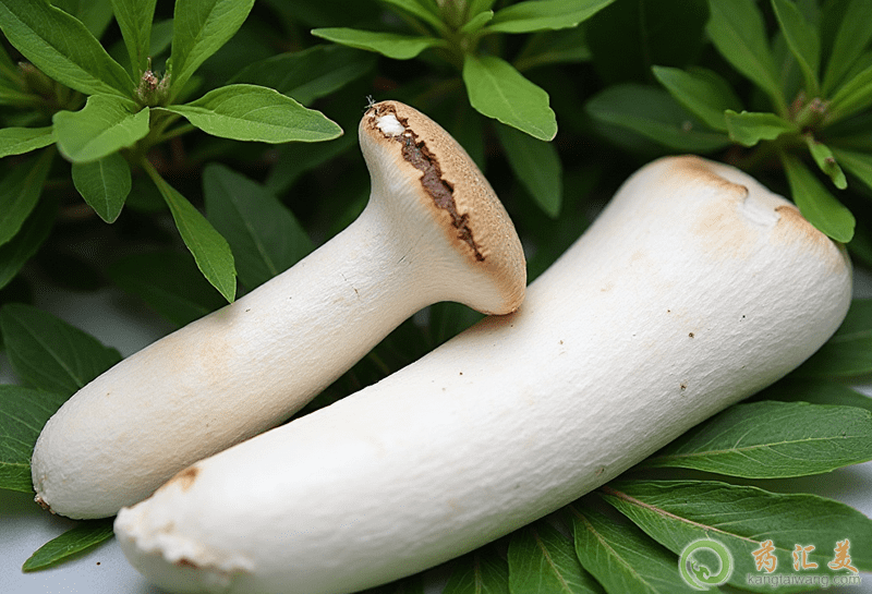 UĠI(yng)B(yng)r(ji)ֵ