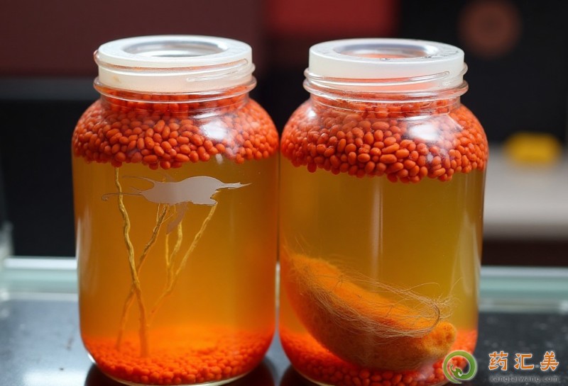 如何自制補腎酒 如何自制補腎酒