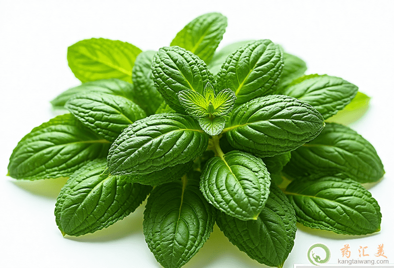 薄荷的營養價值 薄荷的營養價值