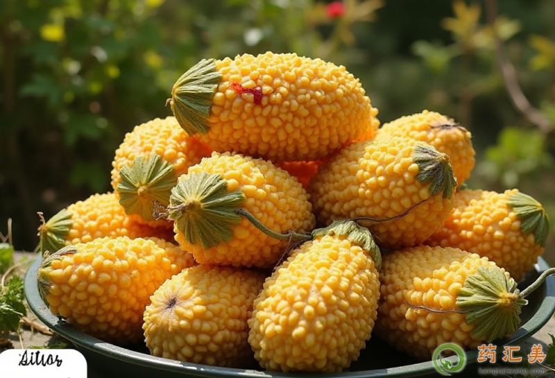 胰腺炎可以吃賴葡萄嗎 胰腺炎可以吃賴葡萄嗎