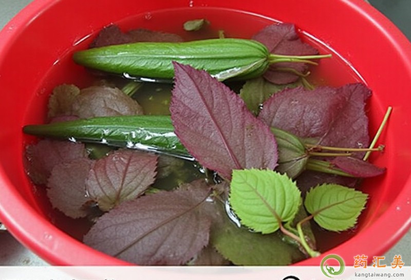 胰腺炎恢復期能吃紫蘇葉嗎 胰腺炎恢復期能吃紫蘇葉嗎