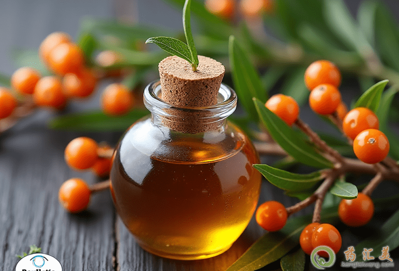 沙棘的食療價(jià)值和美容價(jià)值 沙棘的食療價(jià)值和美容價(jià)值