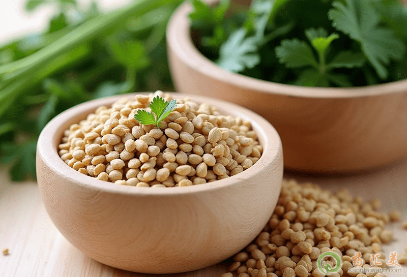 芫荽子的功效 芫荽子的功效