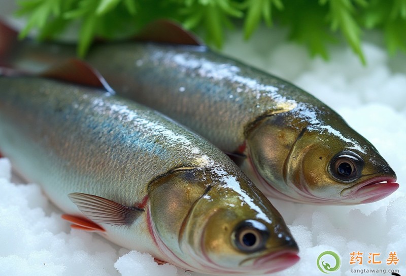 胰腺炎能吃胖頭魚嗎 胰腺炎能吃胖頭魚嗎