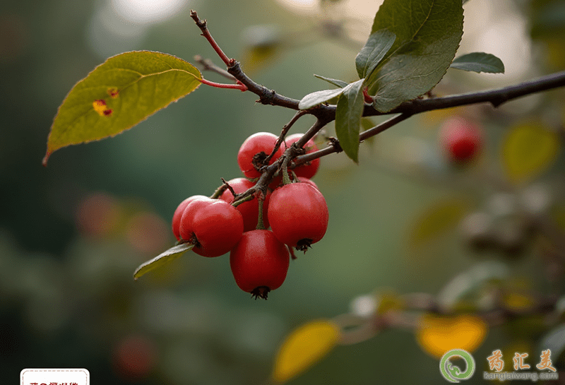 熬夜對身體的傷害 熬夜對身體的傷害